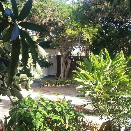 Geriba House Buzios Hotel ภายนอก รูปภาพ